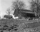 ferme