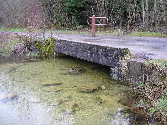 pont