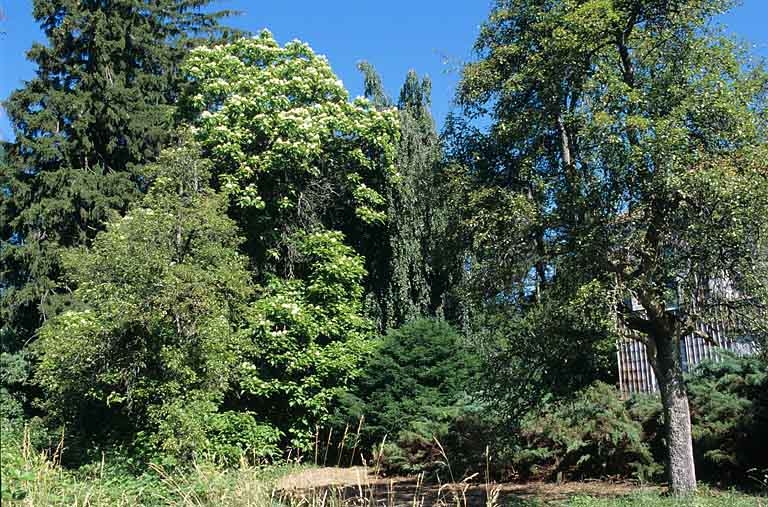 parc de l'observatoire