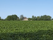 moulin des Batteurs (paysages du canal de Bourgogne)