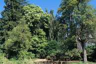 parc de l'observatoire