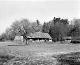 ferme