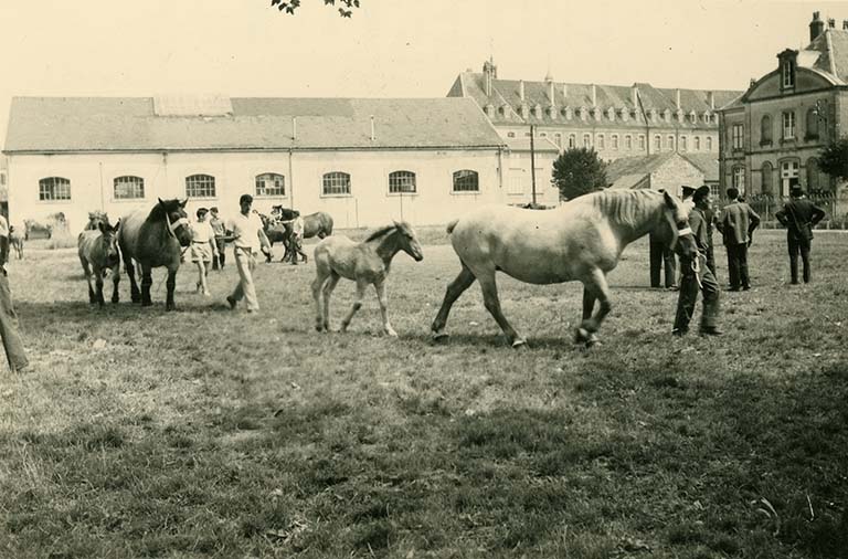 marché, puis salle des fêtes