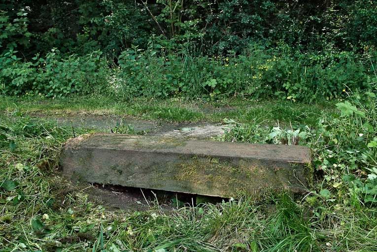 ponceau, pont des Freteurs (la Seille canalisée)