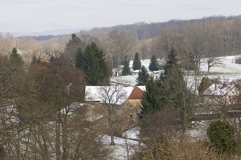 moulin à farine, puis minoterie, puis usine de produits pour l'alimentation animale