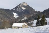 ferme