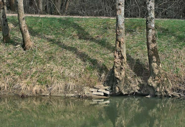 aqueduc du Pont à Bascule (la Seille canalisée)