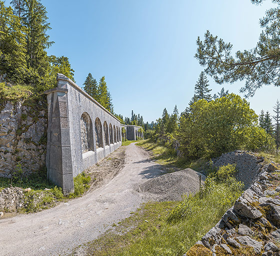 fort des Rousses