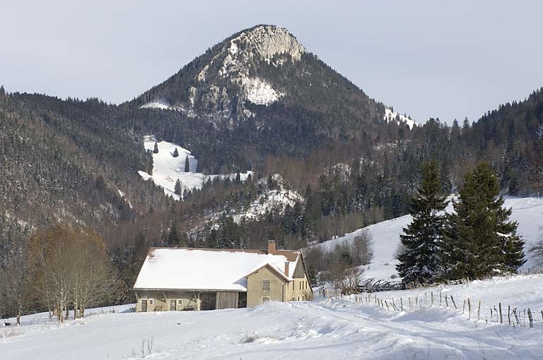 ferme
