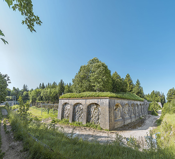 fort des Rousses