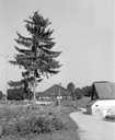 ferme