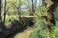 ponceau, pont de la Culot ; pontceau de la Culo (la Seille canalisée)