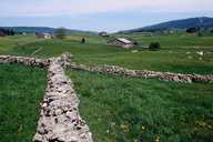 fermes