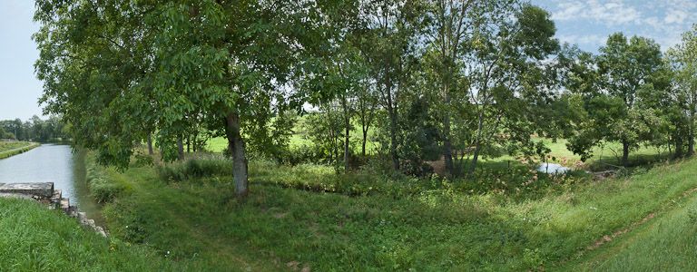 rigole d'alimentation ; ouvrage lié à l'alimentation en eau (canal de Bourgogne)