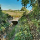 bief de partage du canal du Nivernais (canal du Nivernais)