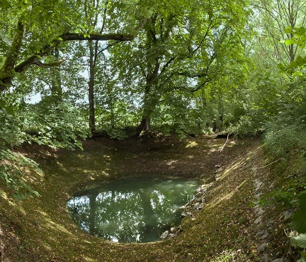 réservoir du Creux du Noir Fond (canal de Bourgogne)