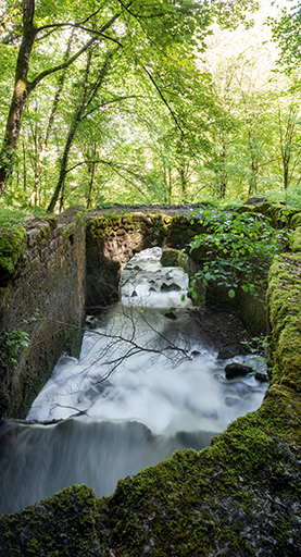 sources d'Arcier