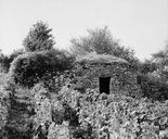 cabane de vigneron
