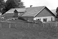 ferme