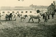 marché, puis salle des fêtes