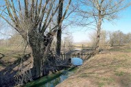 pont, ponceau, dit pontceau Saussard (la Seille canalisée)