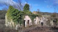 moulin