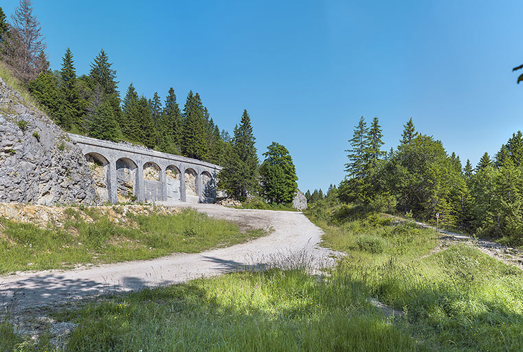 fort des Rousses