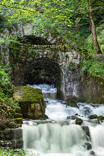 sources d'Arcier
