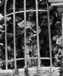 statue (statuette) : Vierge à l'Enfant
