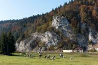 carrière puis fromagerie industrielle dite cave d'affinage Rième