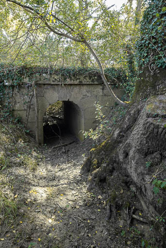 pont, ponceau Les Nièvres (la Seille canalisée)