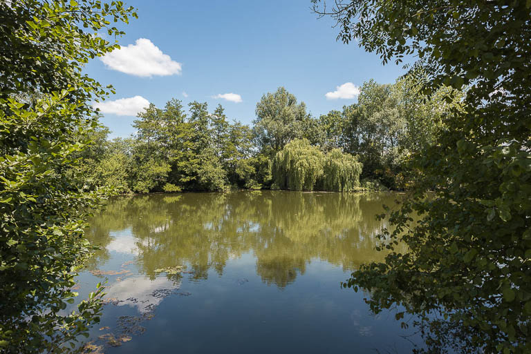 digue aval de Sornay (la Seille canalisée)