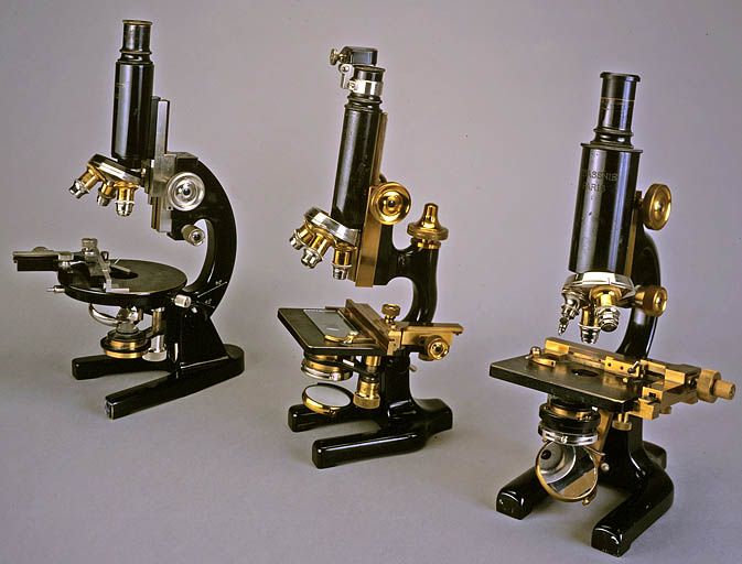 3 microscopes Stiassnie