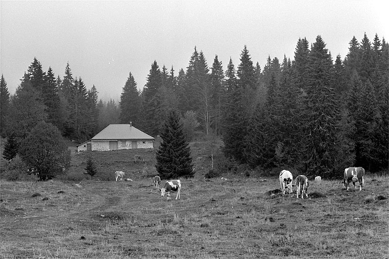 ferme de la Burdine (chalet d'estive)