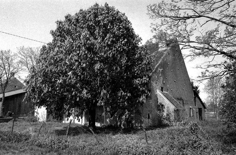 ferme