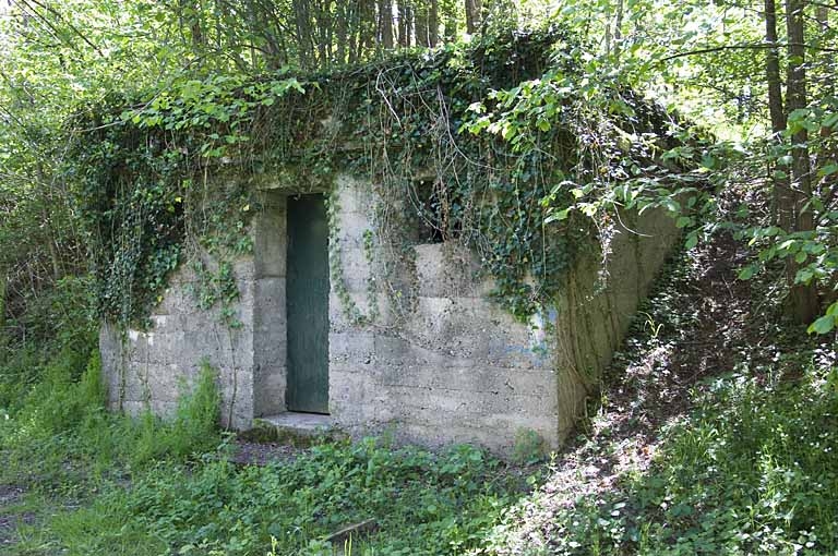 ensemble du génie civil (les ouvrages ferroviaires situés sur la commune de Faverney)