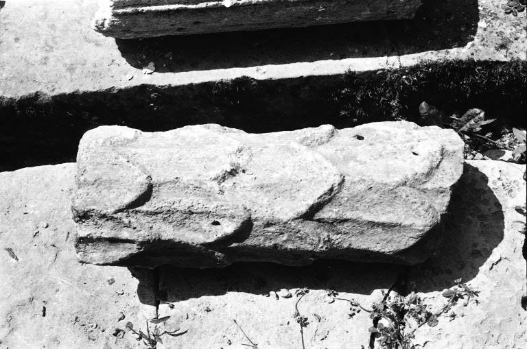 fragment de colonnette à décor végétal