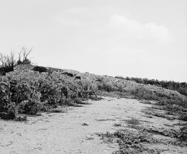 cabane de vigneron dite Cabote du Grand Maillard